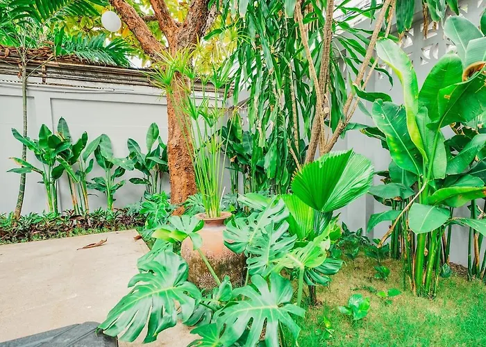 906 Center Single Pool Bts Asok 5 Bedrooms 6 Bathrooms Bangkok
